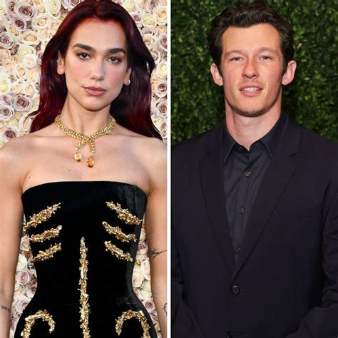 lipa city logo|Dua Lipa and Callum Turner's Relationship Timeline .